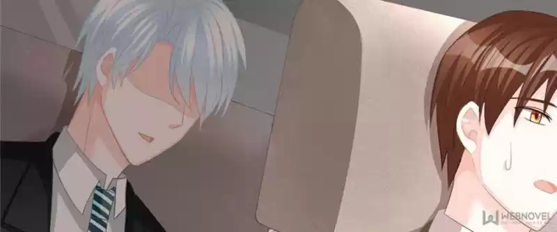 The Icy Chairman’S Cute Little Wife Chapter 20