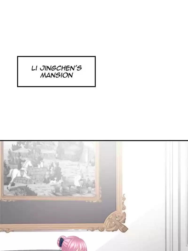 The Icy Chairman’S Cute Little Wife Chapter 26