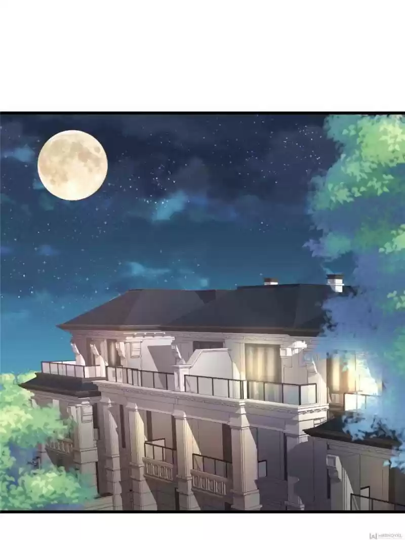 The Icy Chairman’S Cute Little Wife Chapter 27