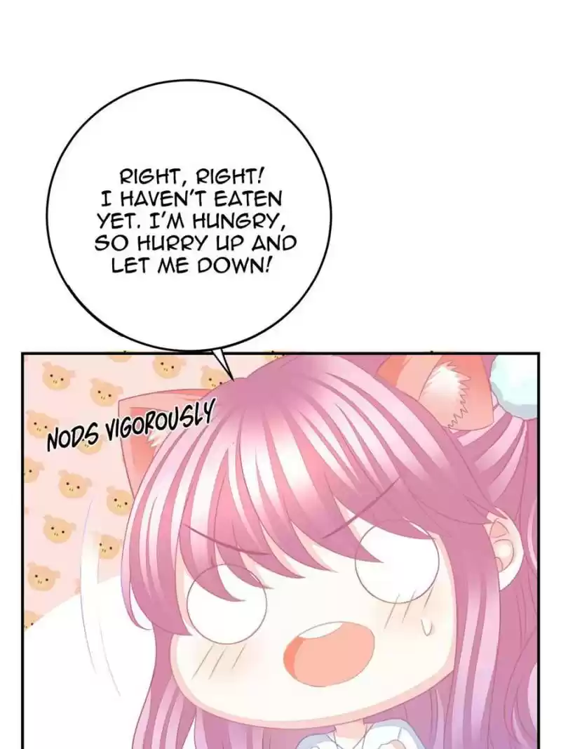 The Icy Chairman’S Cute Little Wife Chapter 29