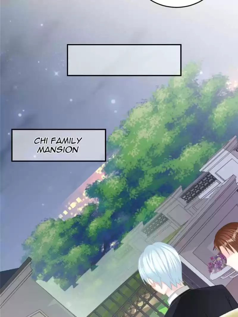 The Icy Chairman’S Cute Little Wife Chapter 29