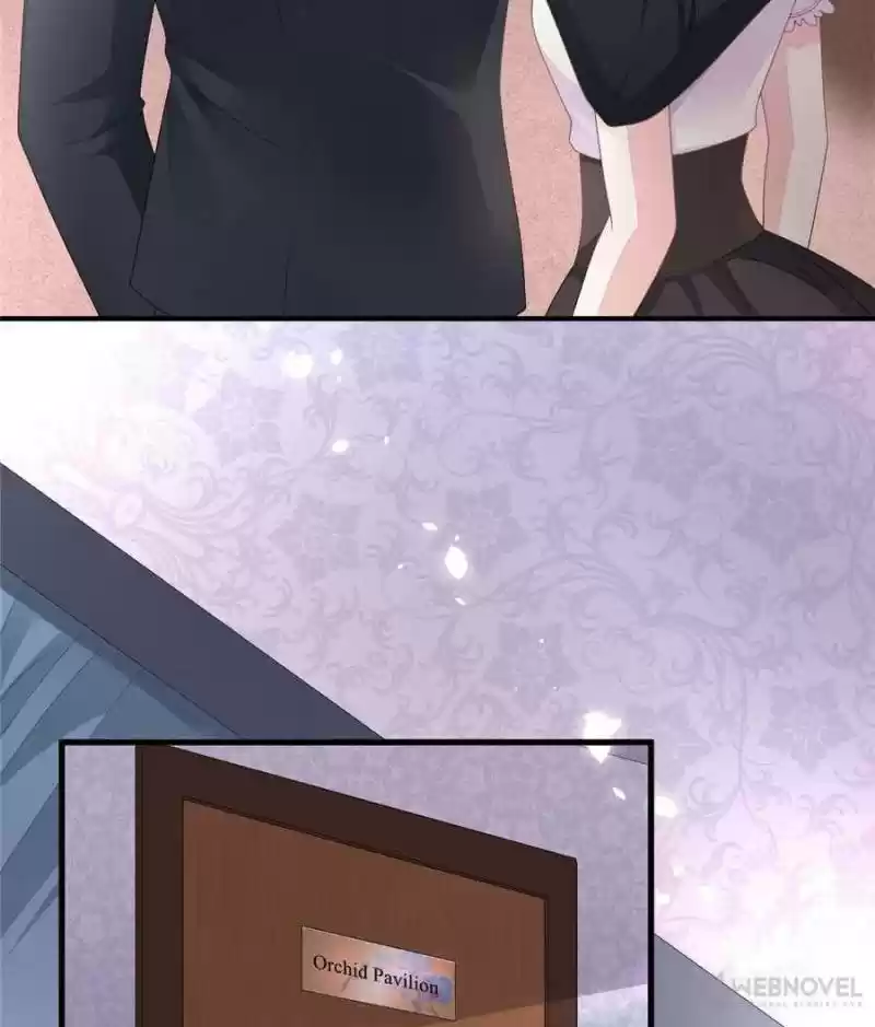 The Icy Chairman’S Cute Little Wife Chapter 3