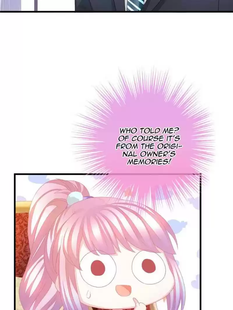 The Icy Chairman’S Cute Little Wife Chapter 3