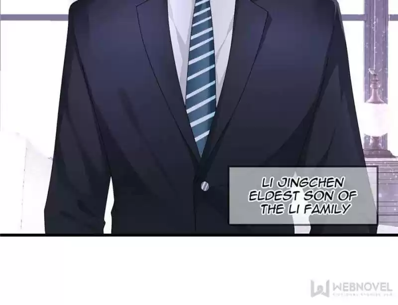 The Icy Chairman’S Cute Little Wife Chapter 3