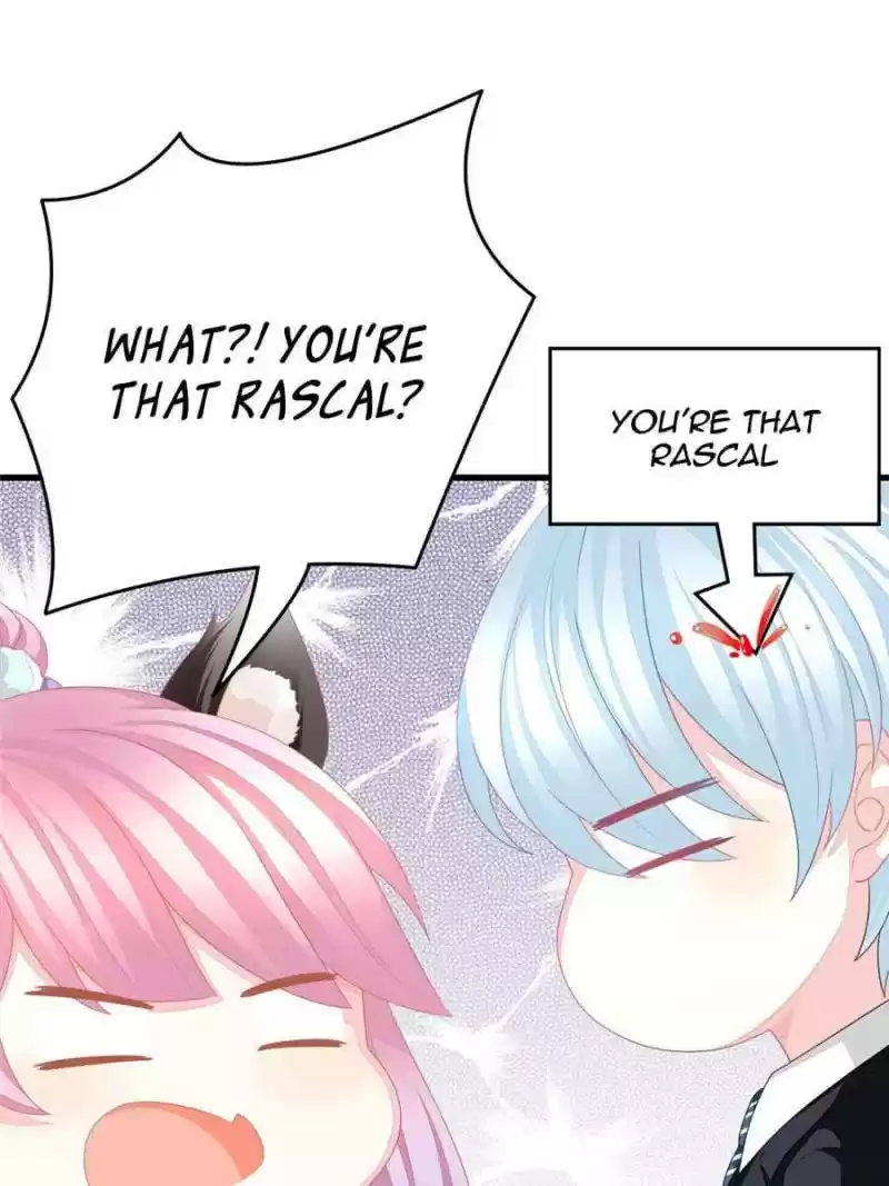 The Icy Chairman’S Cute Little Wife Chapter 3