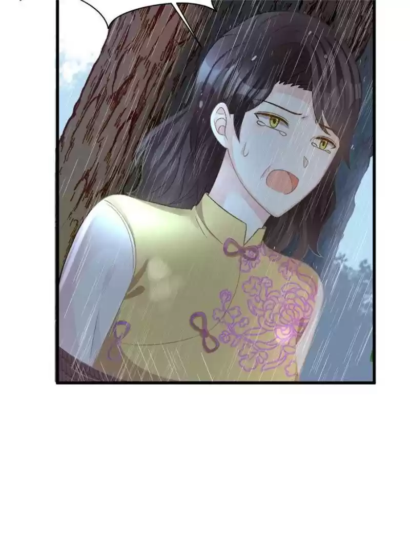 The Icy Chairman’S Cute Little Wife Chapter 44