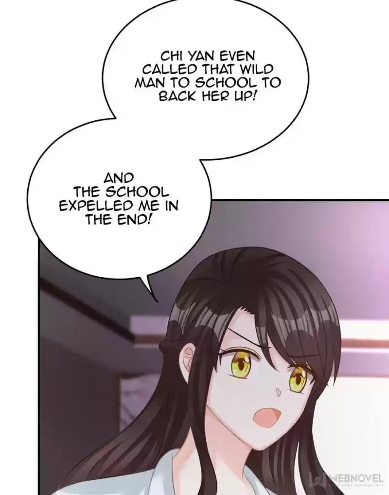 The Icy Chairman’S Cute Little Wife Chapter 45