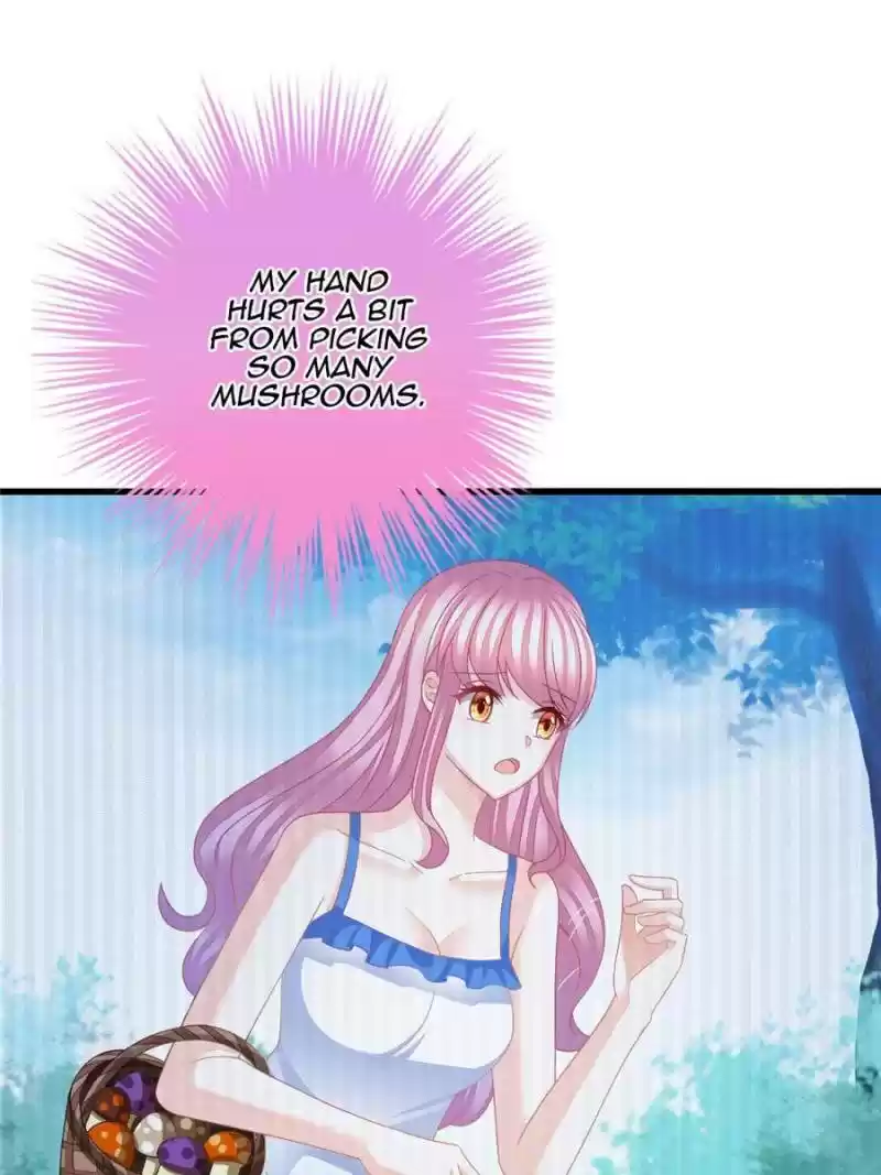 The Icy Chairman’S Cute Little Wife Chapter 46