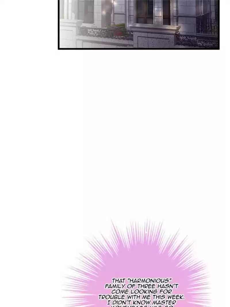 The Icy Chairman’S Cute Little Wife Chapter 49