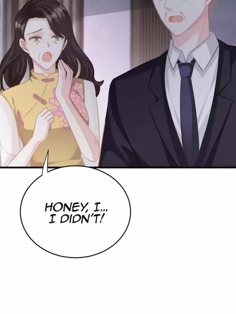 The Icy Chairman’S Cute Little Wife Chapter 52