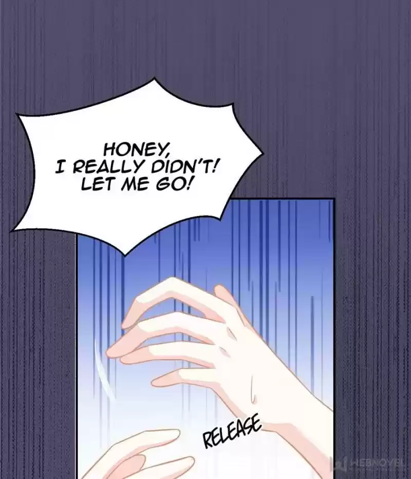 The Icy Chairman’S Cute Little Wife Chapter 53