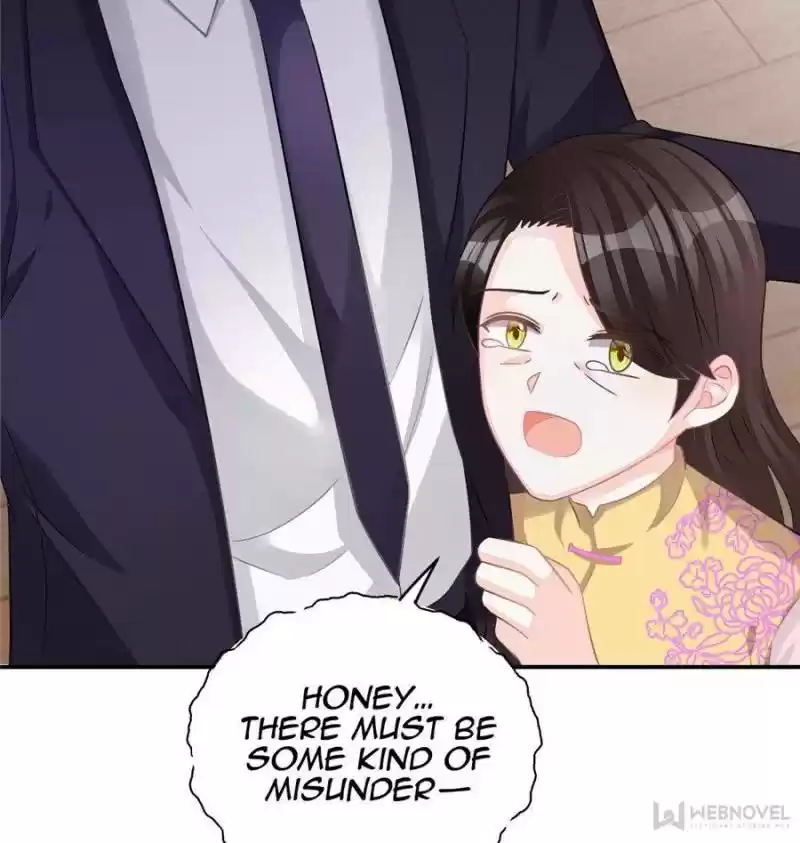 The Icy Chairman’S Cute Little Wife Chapter 58