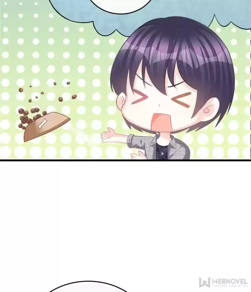 The Icy Chairman’S Cute Little Wife Chapter 62