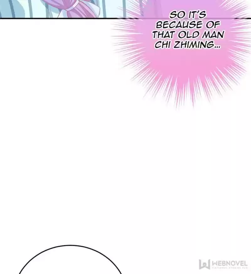 The Icy Chairman’S Cute Little Wife Chapter 66