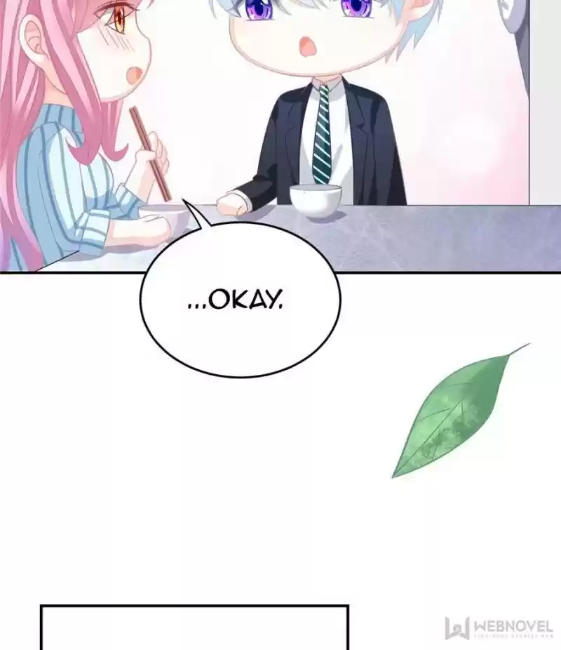 The Icy Chairman’S Cute Little Wife Chapter 66