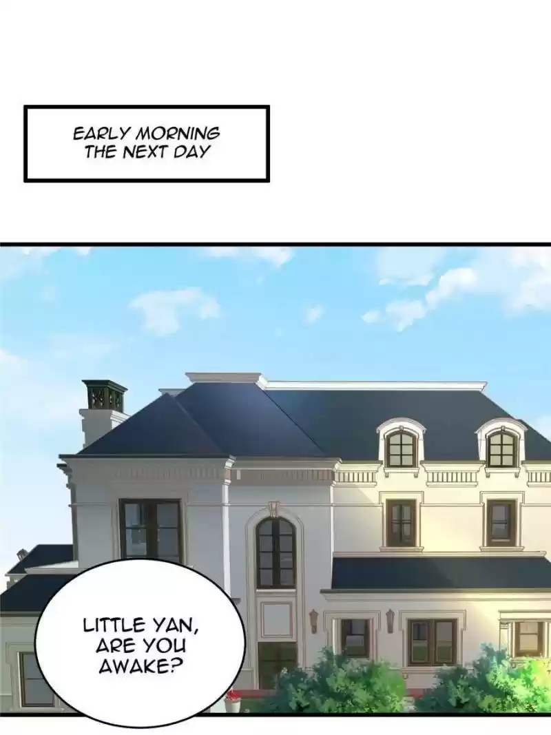 The Icy Chairman’S Cute Little Wife Chapter 8