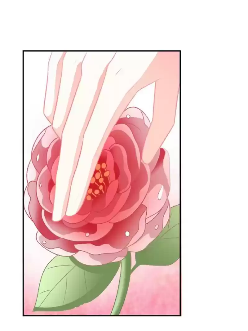 The Icy Chairman’S Cute Little Wife Chapter 85