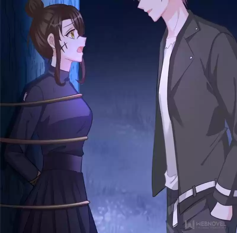 The Icy Chairman’S Cute Little Wife Chapter 88