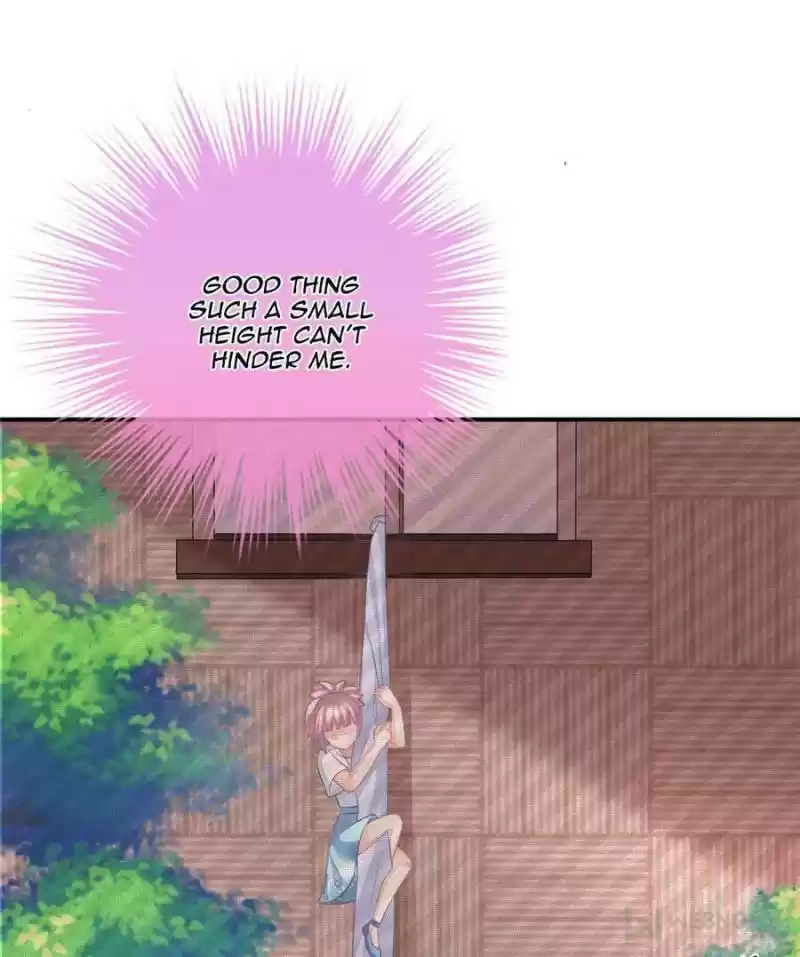 The Icy Chairman’S Cute Little Wife Chapter 9