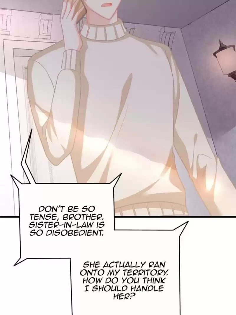 The Icy Chairman’S Cute Little Wife Chapter 95