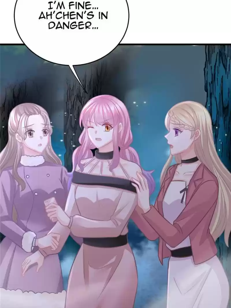 The Icy Chairman’S Cute Little Wife Chapter 97