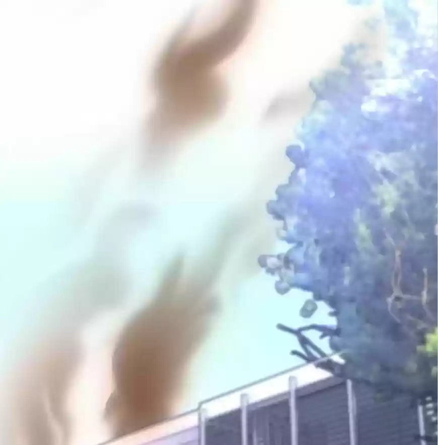 The Innocent Young Master Lu ch.107