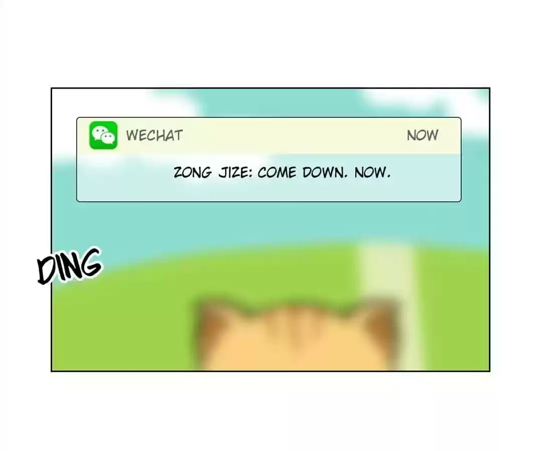 The Innocent Young Master Lu Chapter 61