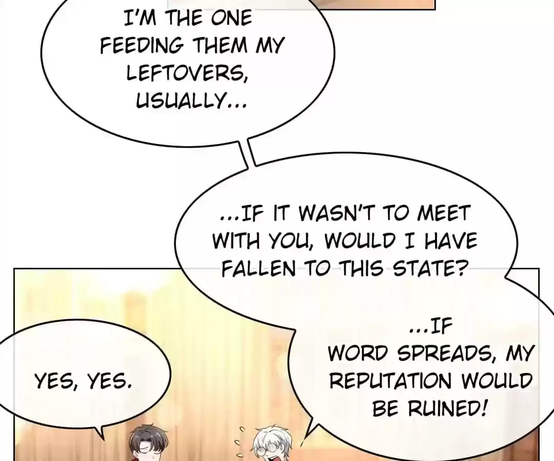 The Innocent Young Master Lu Chapter 61