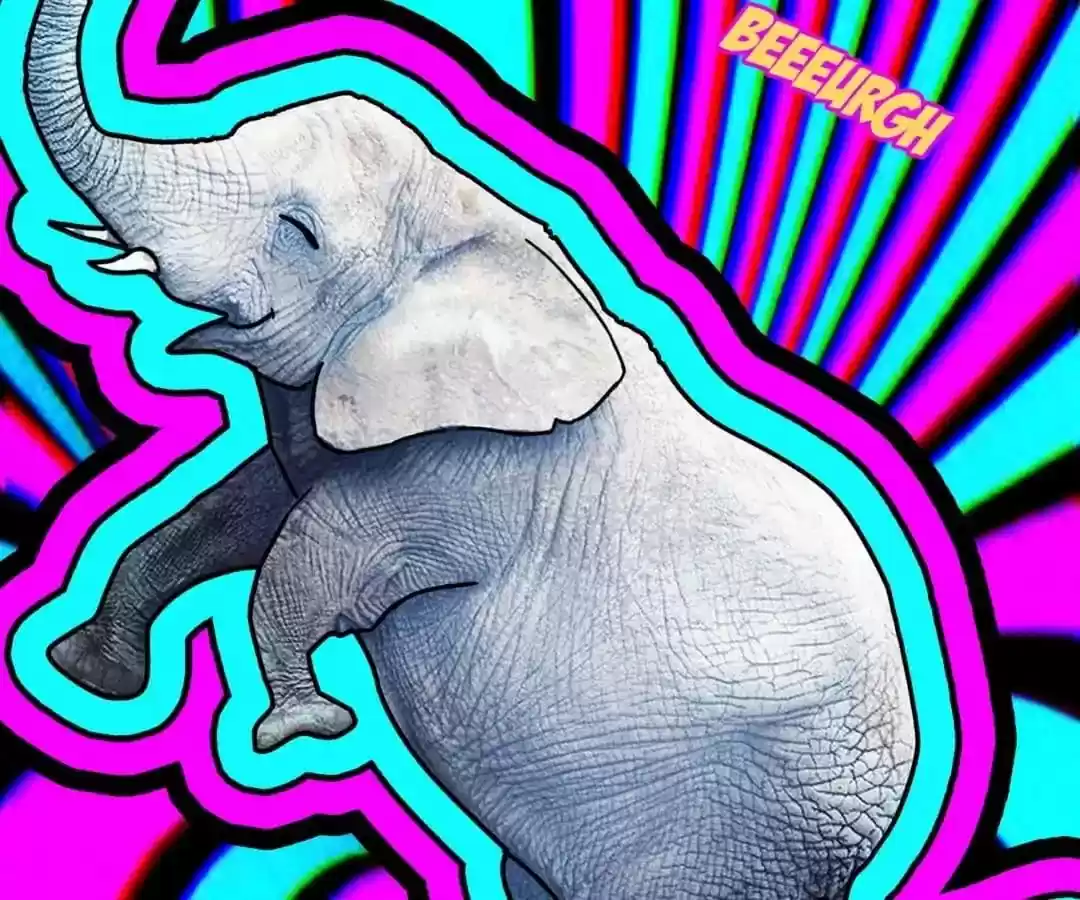 The Innocent Young Master Lu Chapter 85