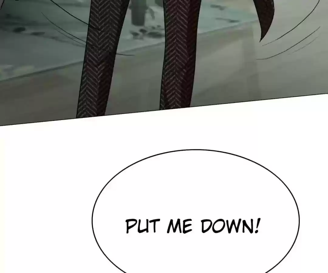 The Innocent Young Master Lu Chapter 85