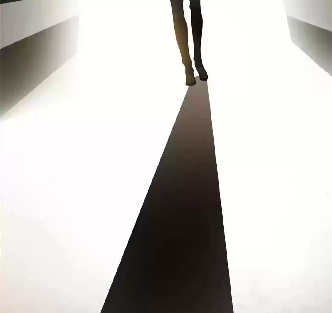 The Innocent Young Master Lu Chapter 88