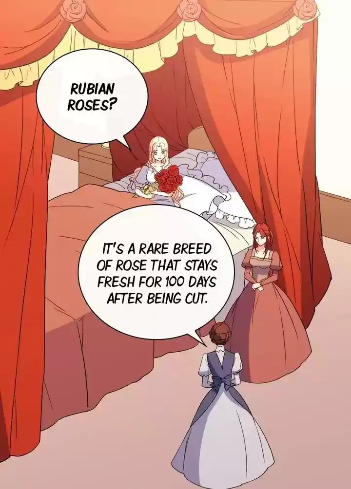 The Justice of Villainous Woman Chapter 35