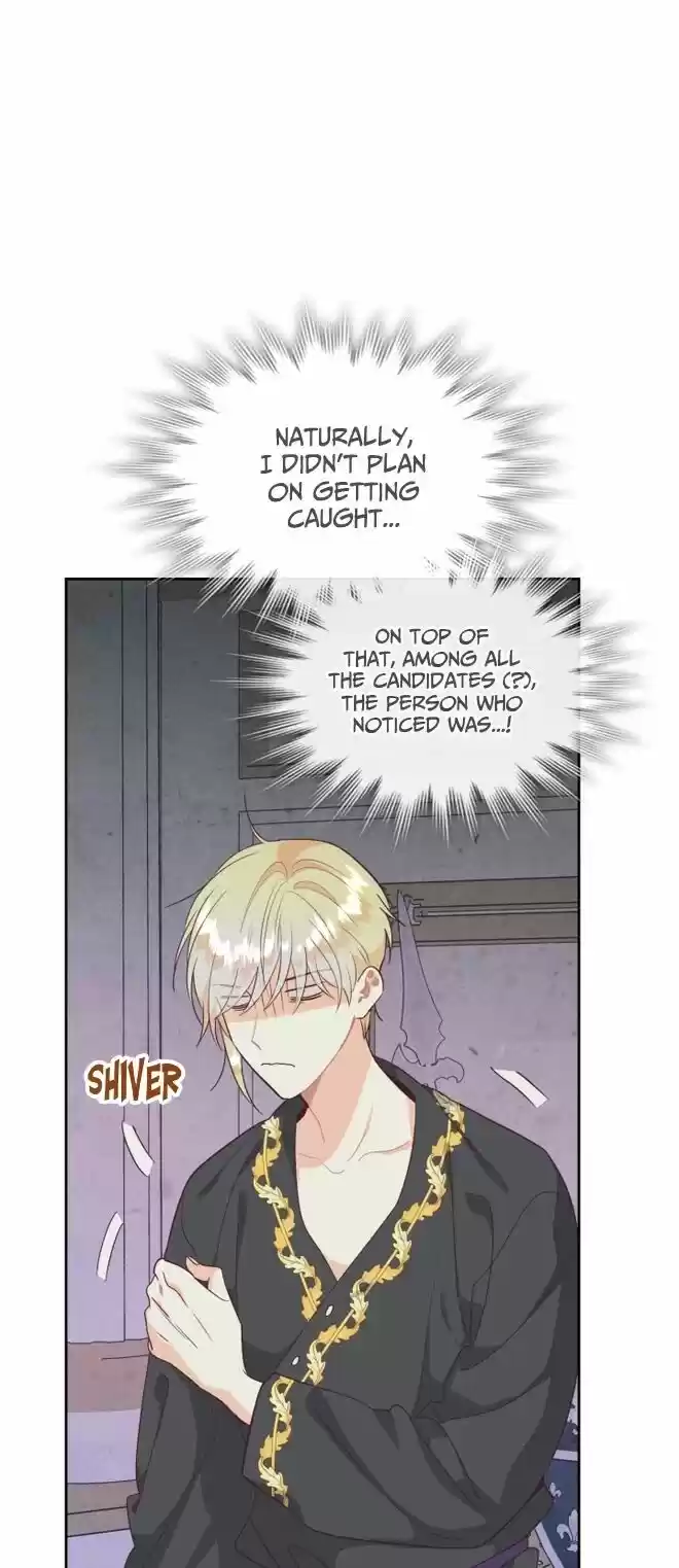 The King and His Knight Ch.140