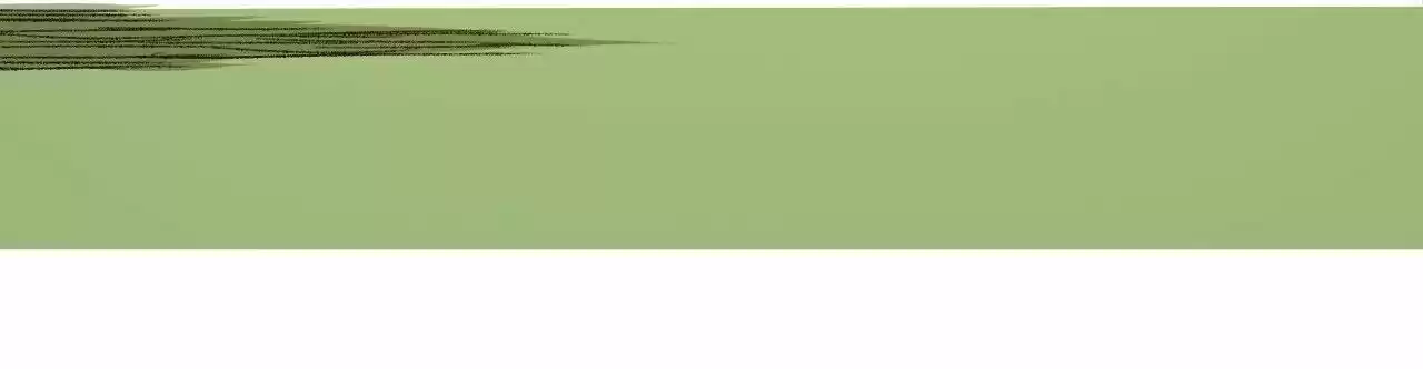 The King of Misfortune Ch.026