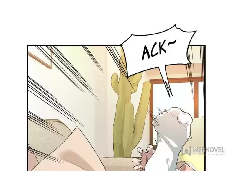 The King's Avatar Chapter 25