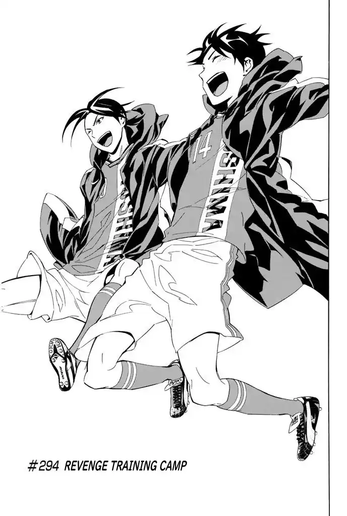 The Knight in the Area 294