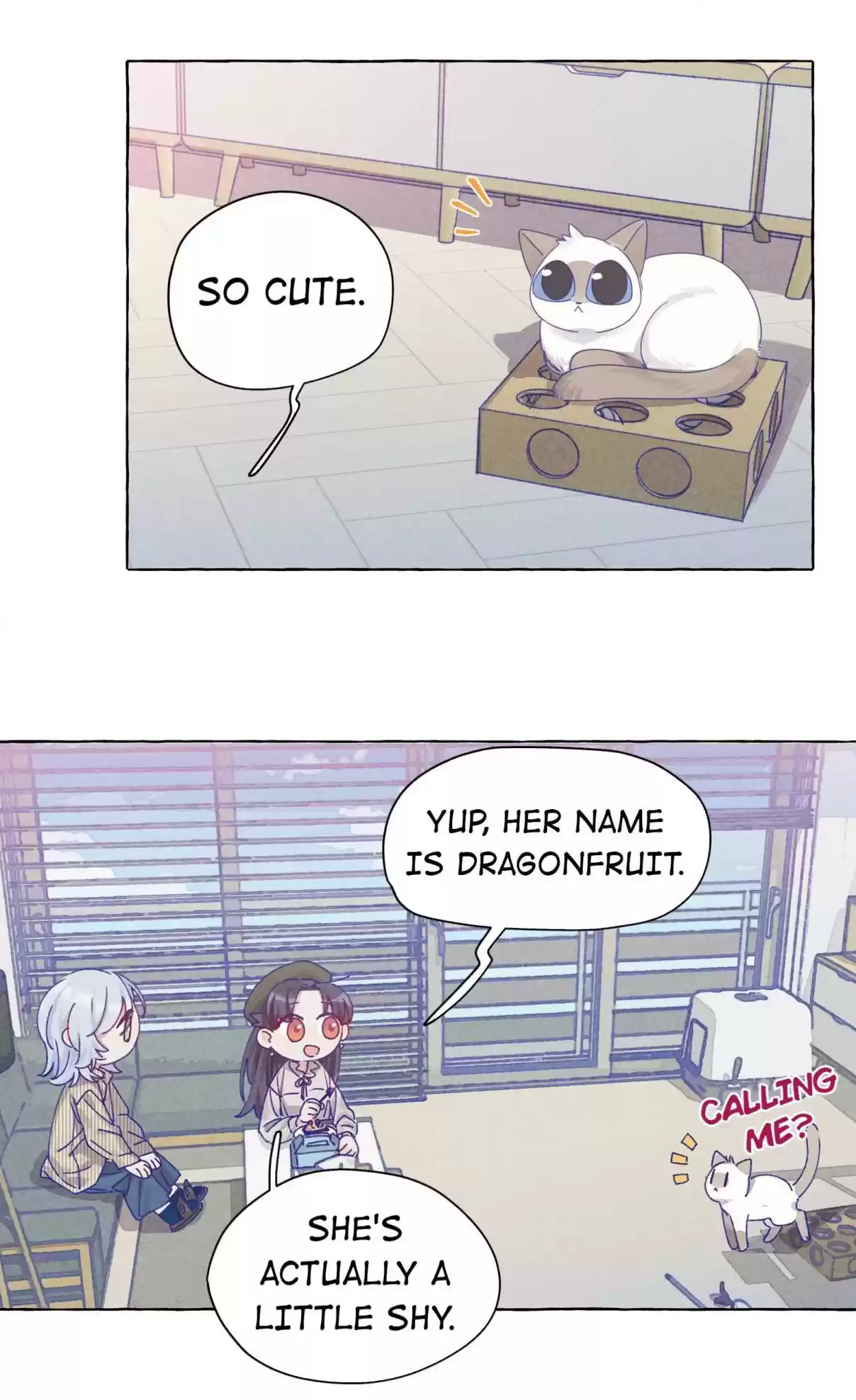 The Martial Emperor's Life After Seclusion 11 This Has Got To Be Heartfelt, Alright?