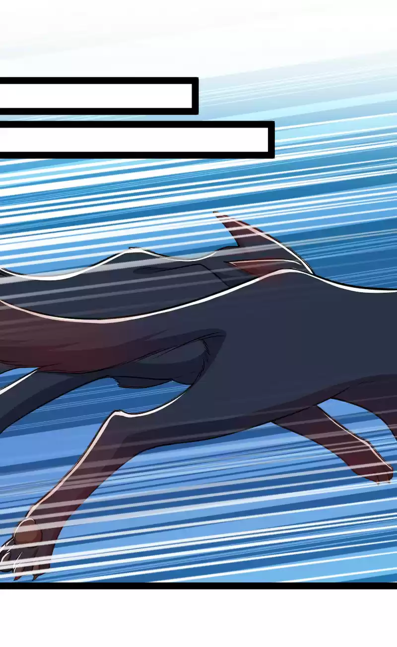 The Martial Emperor's Life After Seclusion 50 Stay, Accommodate, And A Comeback