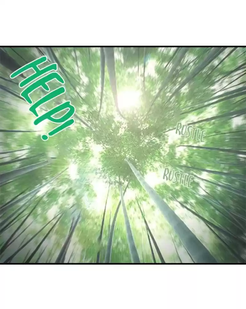 The Martial Emperor's Life After Seclusion 8 Women's Clothing Addiction, It's Either No Or...