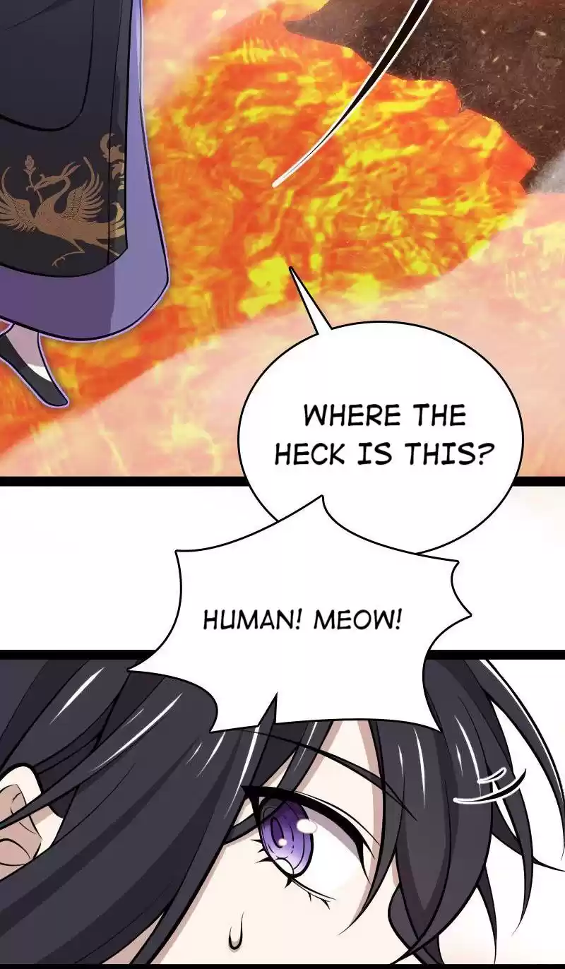 The Martial Emperor's Life After Seclusion 94 A Kitty Cat?