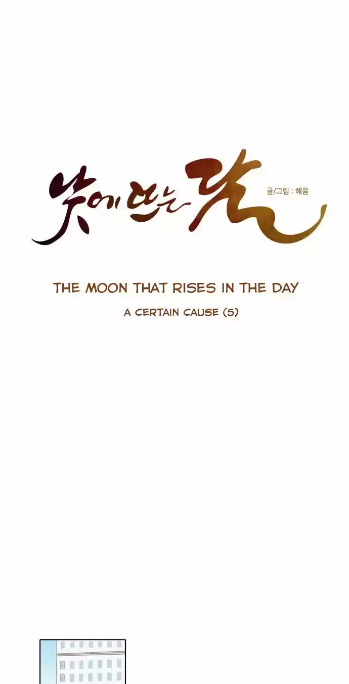 The Moon that Rises in the Day 23