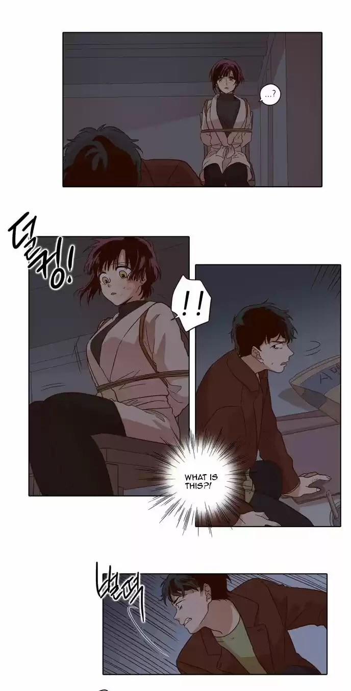 The Moon that Rises in the Day 24