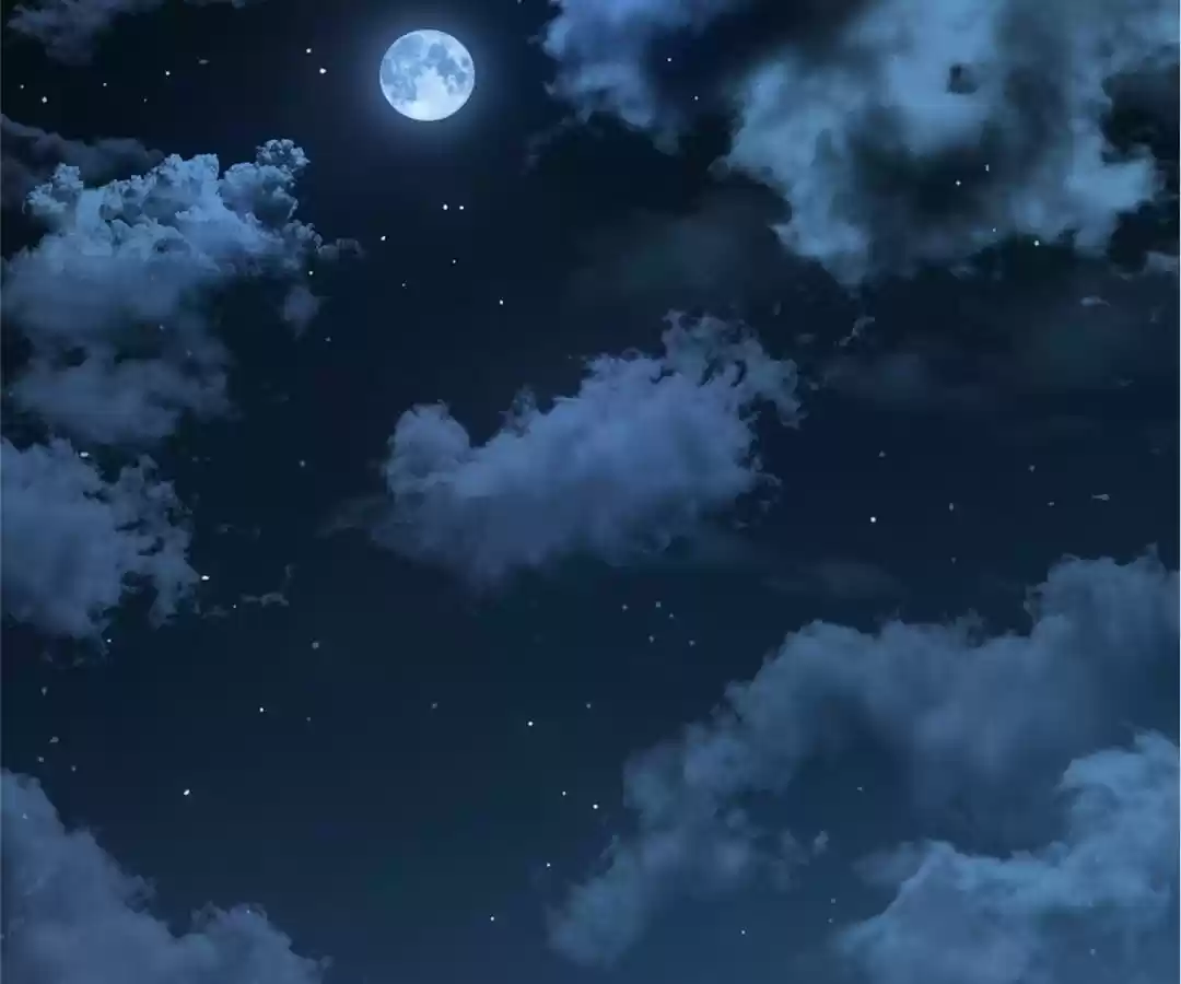 The Naive Mr. Lu Chapter 21