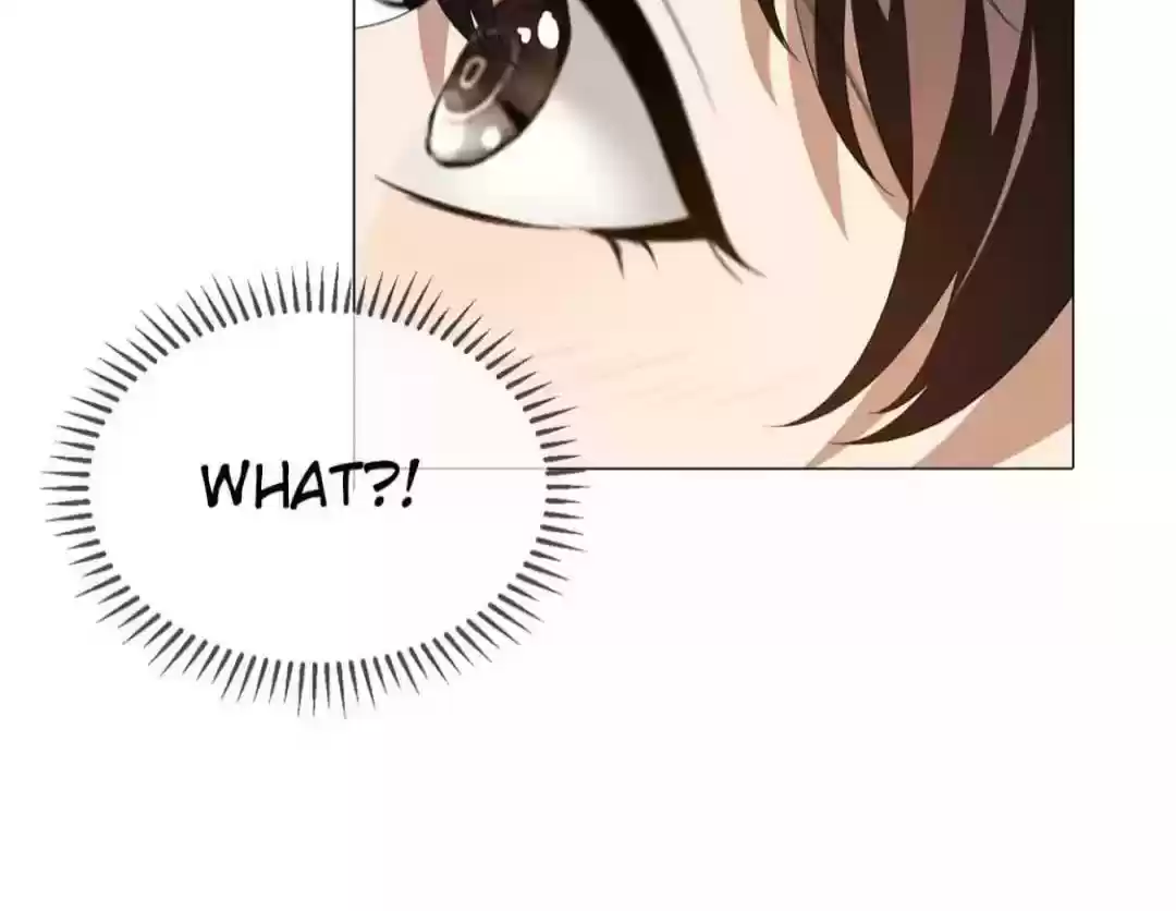 The Naive Mr. Lu Chapter 98.1