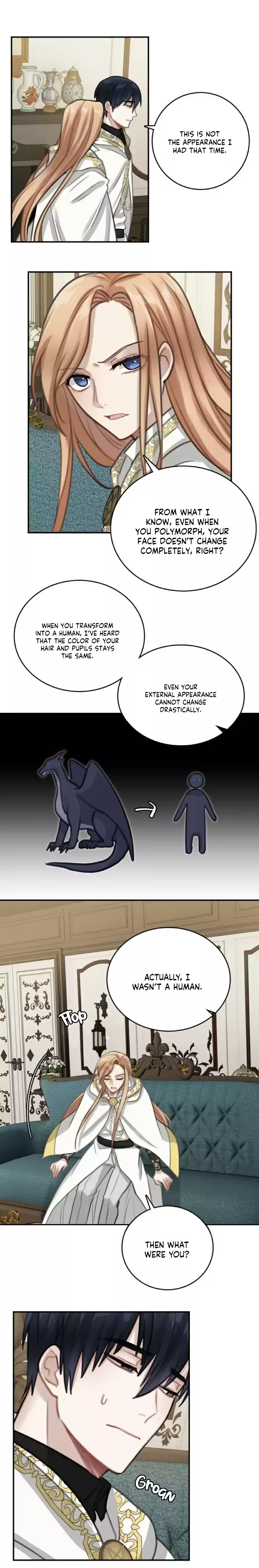 The Newlywed Life of a Witch and a Dragon Ch. 12