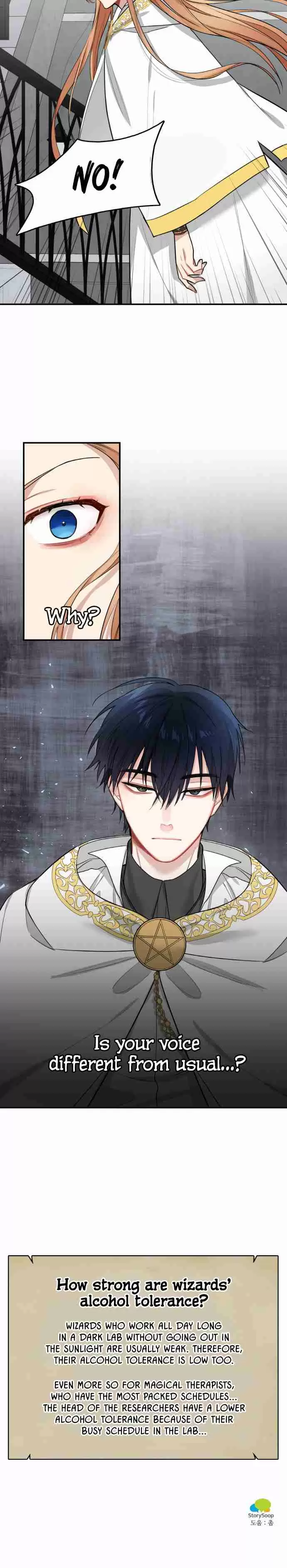 The Newlywed Life of a Witch and a Dragon Ch. 5