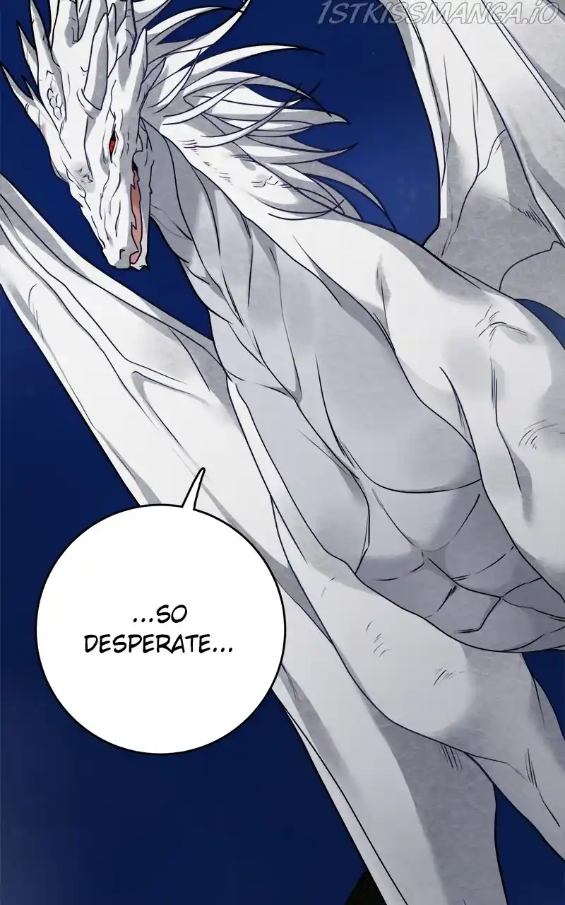 The Newlywed Life Of A Witch And A Dragon Chapter 103