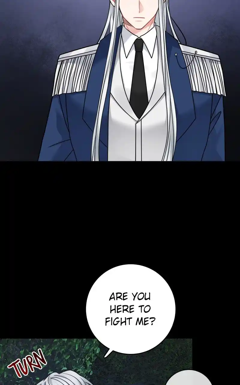 The Newlywed Life Of A Witch And A Dragon Chapter 105