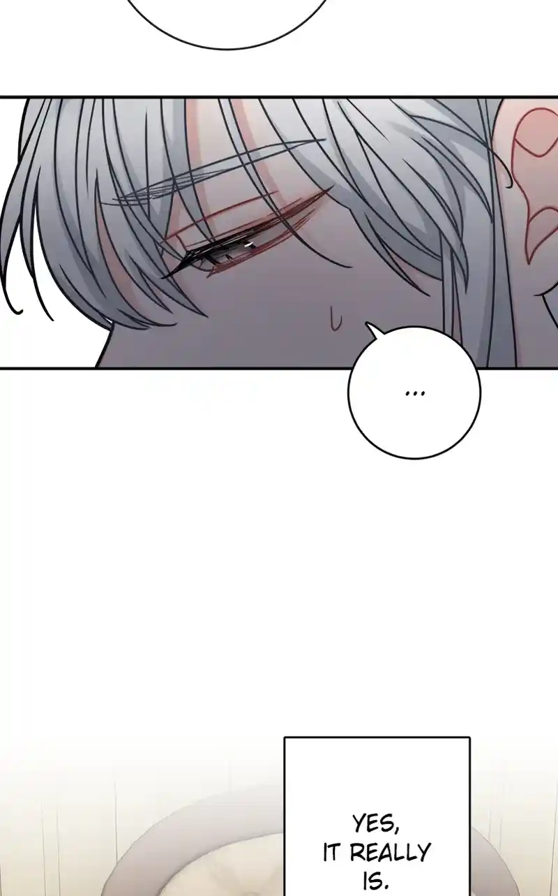 The Newlywed Life of a Witch and a Dragon Chapter 109