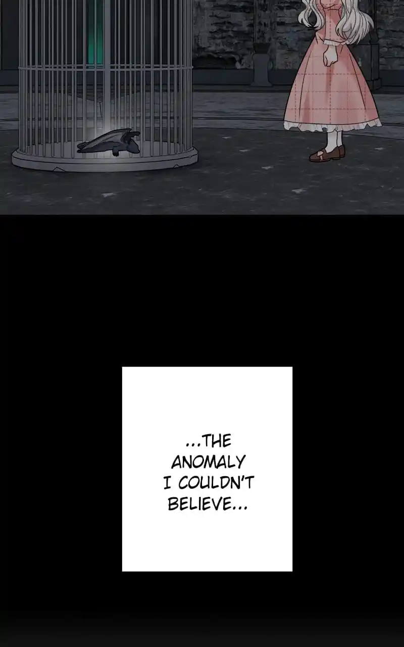 The Newlywed Life Of A Witch And A Dragon Chapter 113